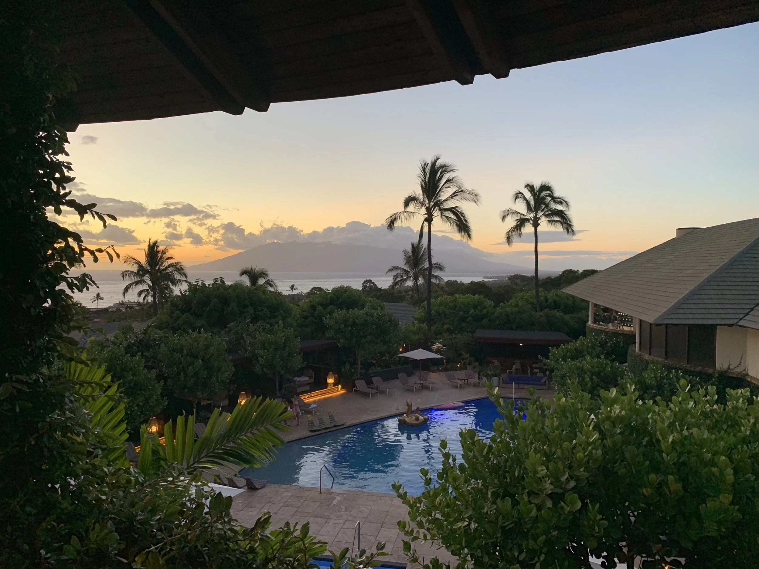2019-07-27 19.17.21.jpg