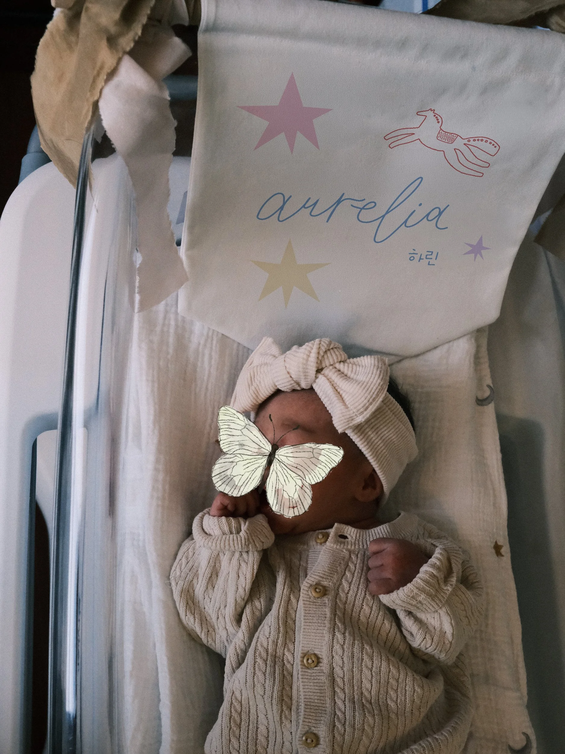 fire horse banner hospital bassinet.jpg
