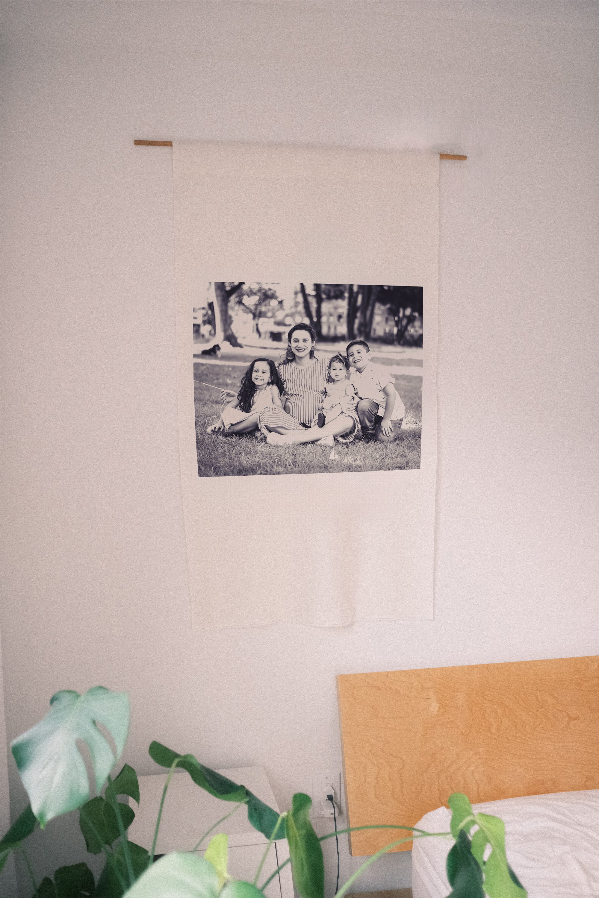 photo banner.jpg