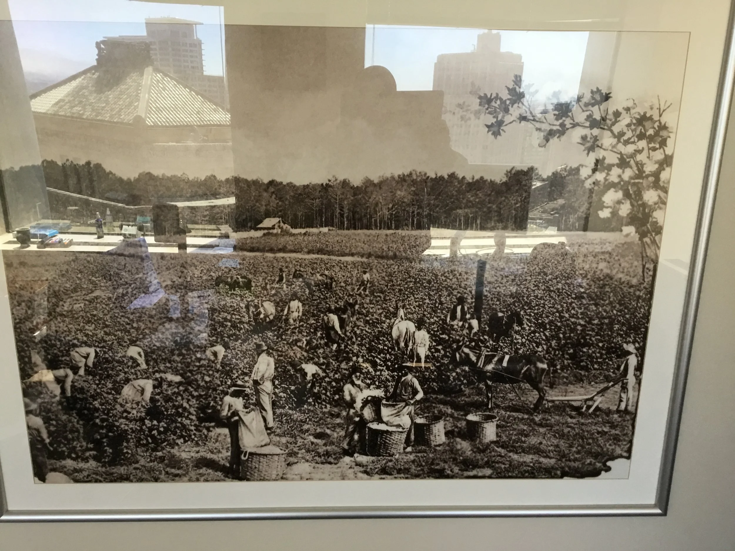 Where Do We Go From Here? Election 2016 & Beyond