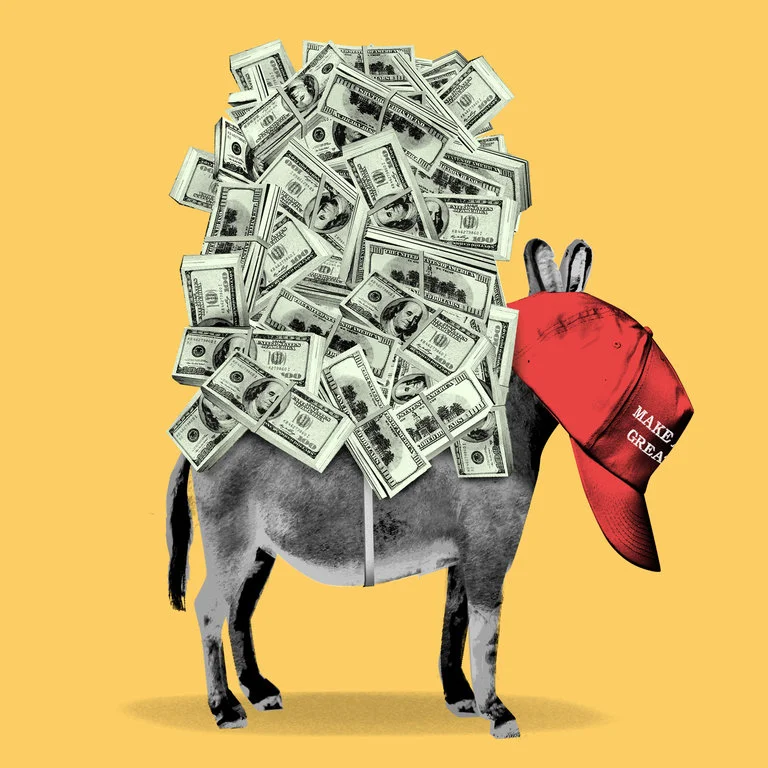 The Democratic Party’s Billion-Dollar Mistake