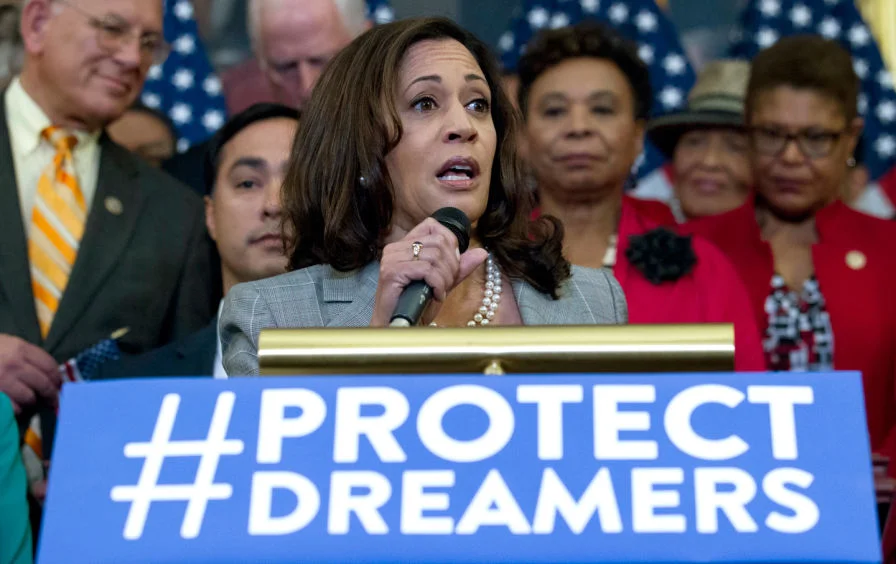 No DREAM, No Deal