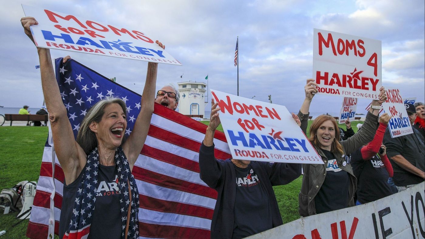 No, white suburban women alone didn't flip the House