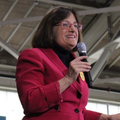 Ann Kuster