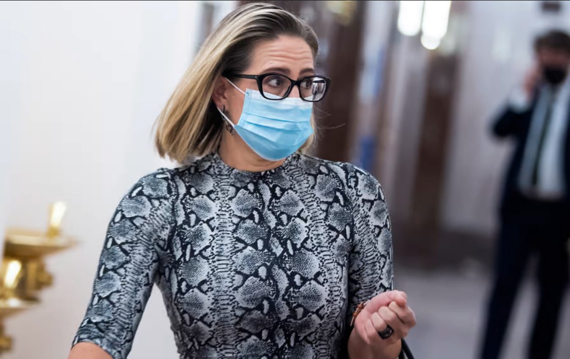 Primary Kyrsten Sinema