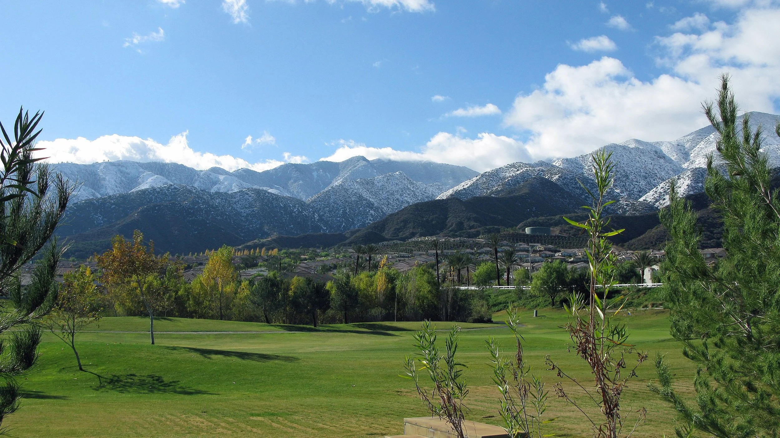 How to Hold the House: The Fight for the Right to Choose in Orange County, CA