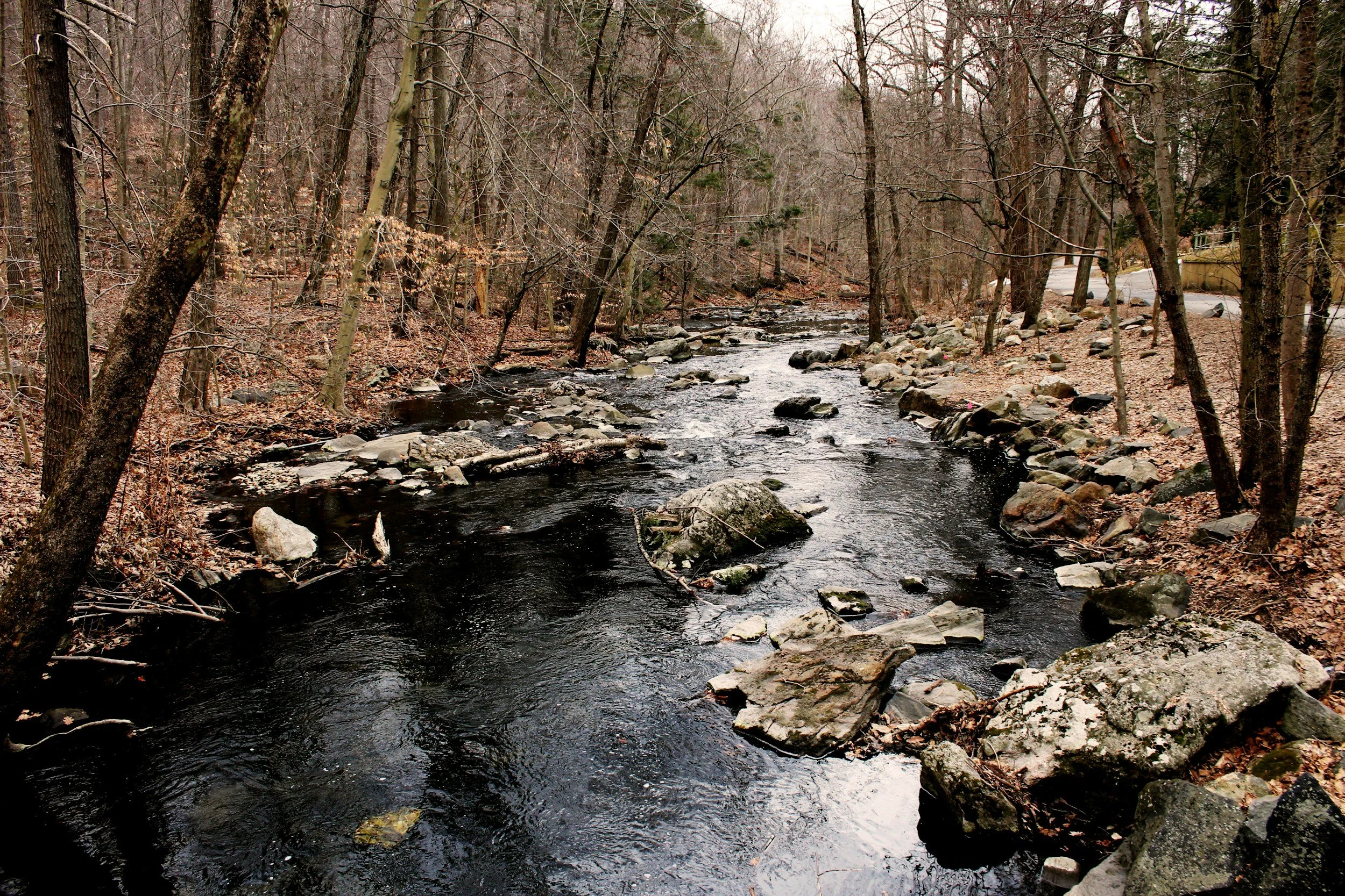 Progressives Mount Challenge in Southern New York District