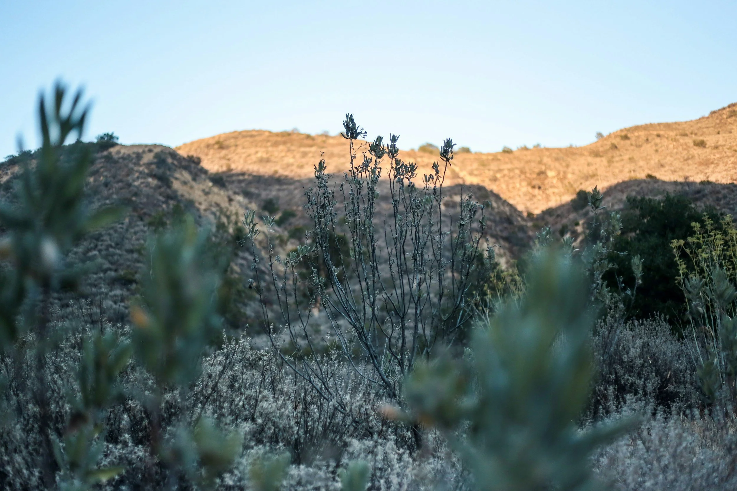 In Competitive SoCal Race, API and Latino Vote Key