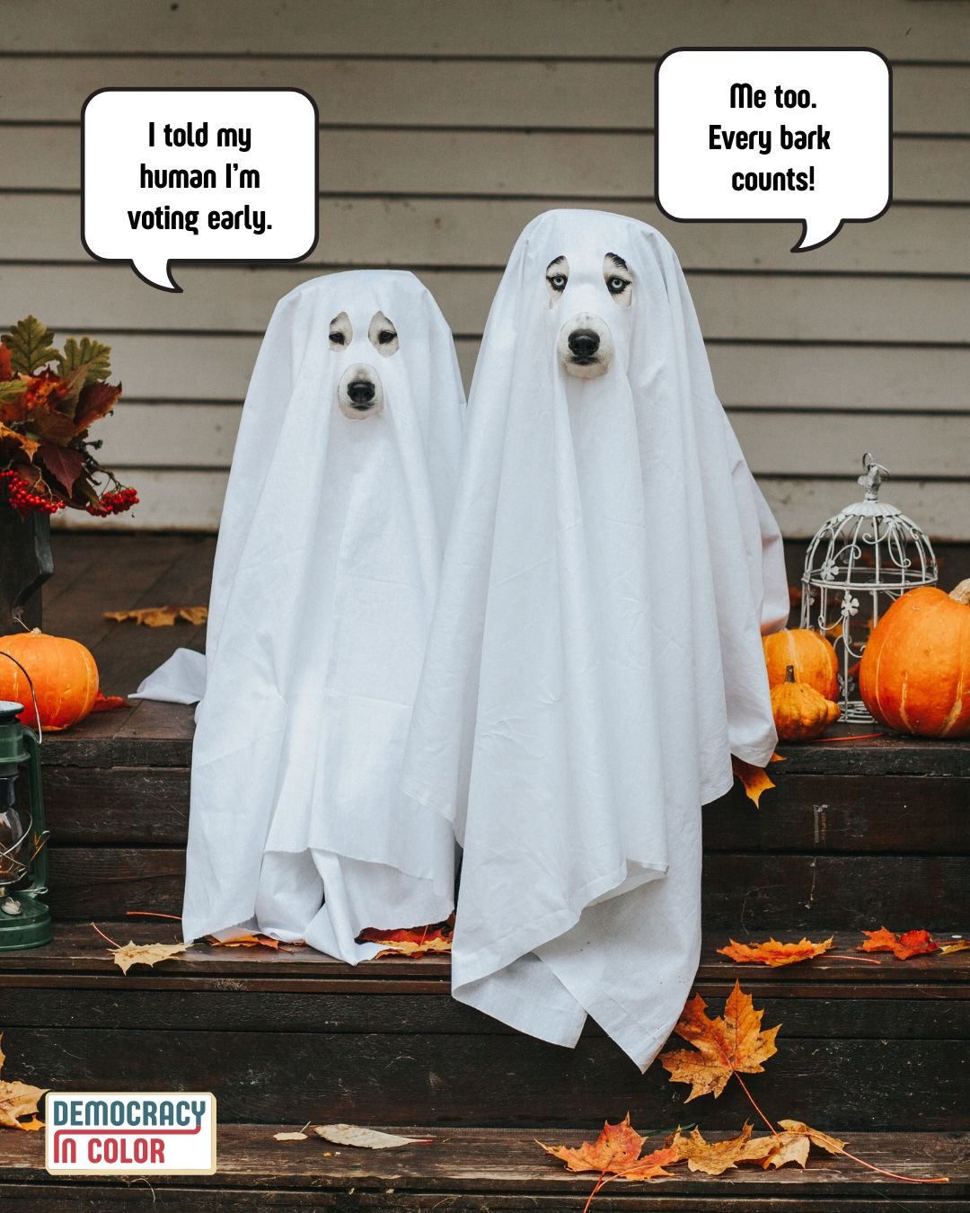 Nothing scarier than passing up your democratic right to vote!

Don't forget to hit the polls on your way to trick or treat.

Happy Halloween! 👻 👻