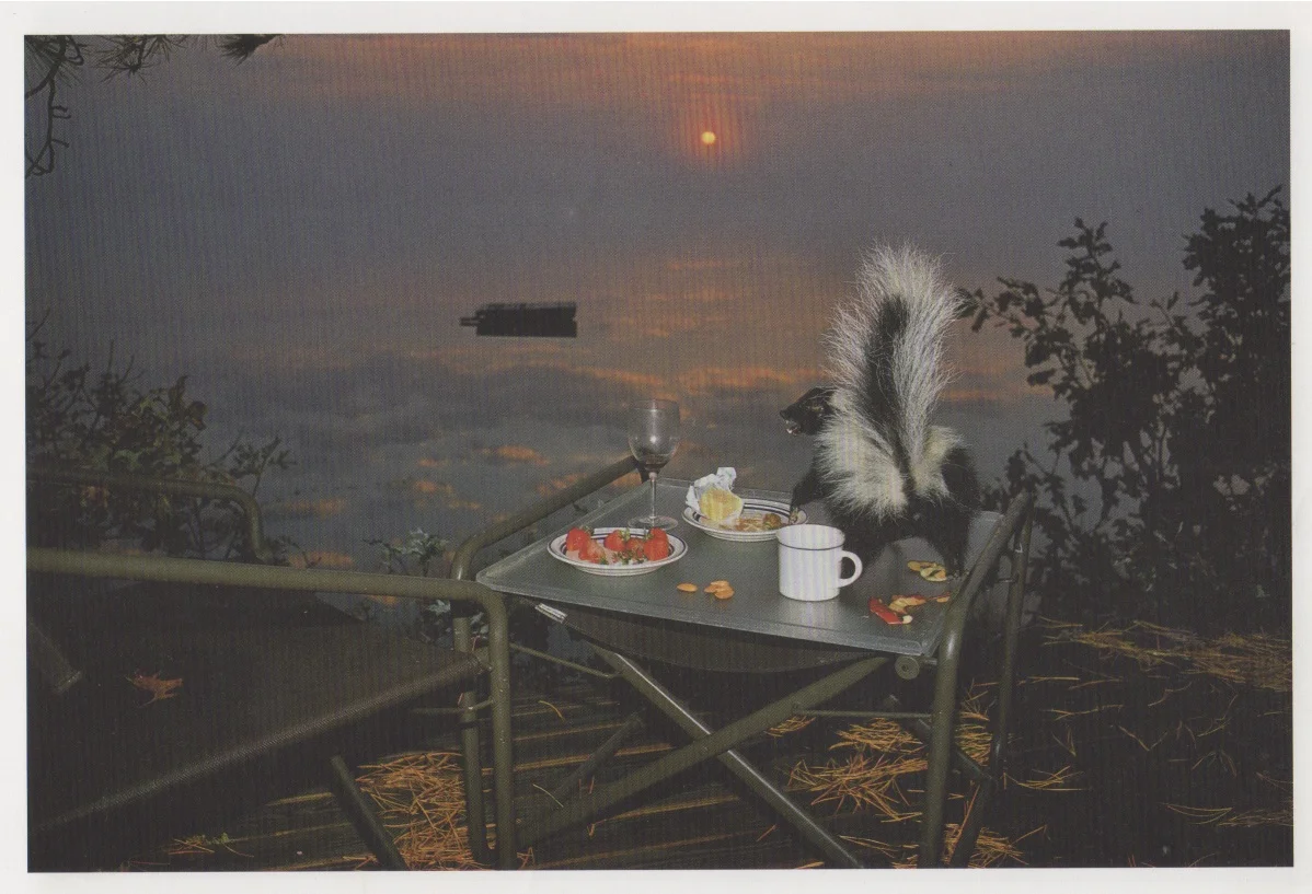 BNorfleet.Skunk&Strawberries.jpg