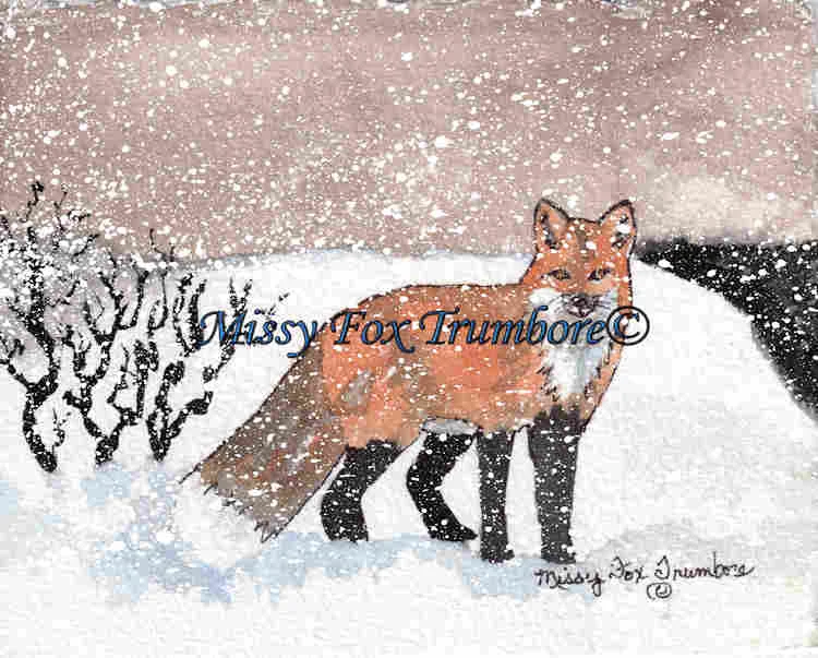 Winter Stroll