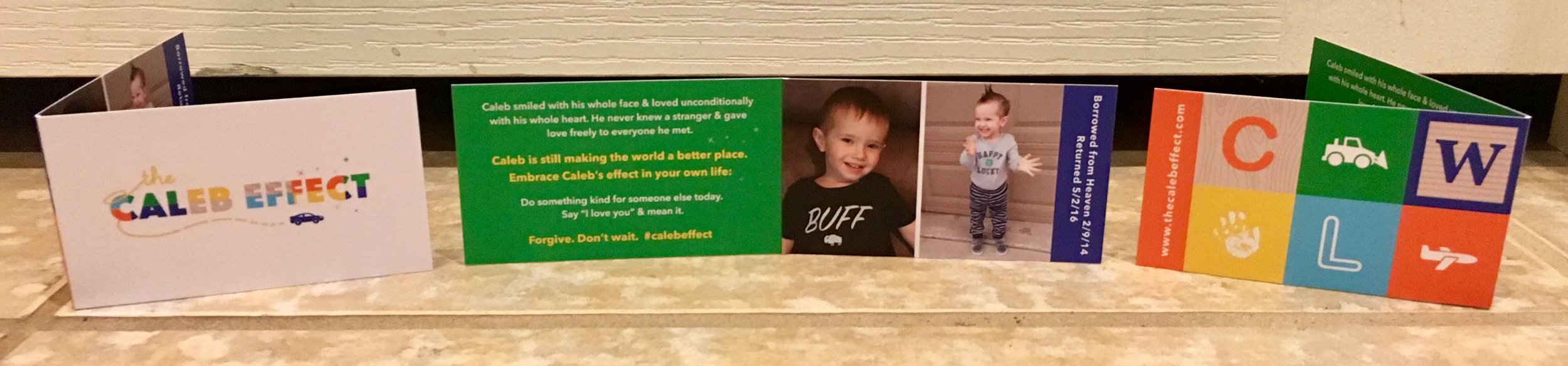 "One With Wings" cards