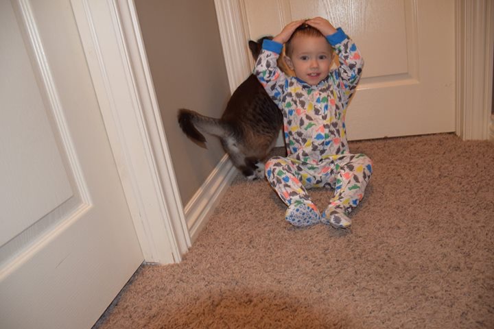 Look, Mom, I put it on my head just like that bow!