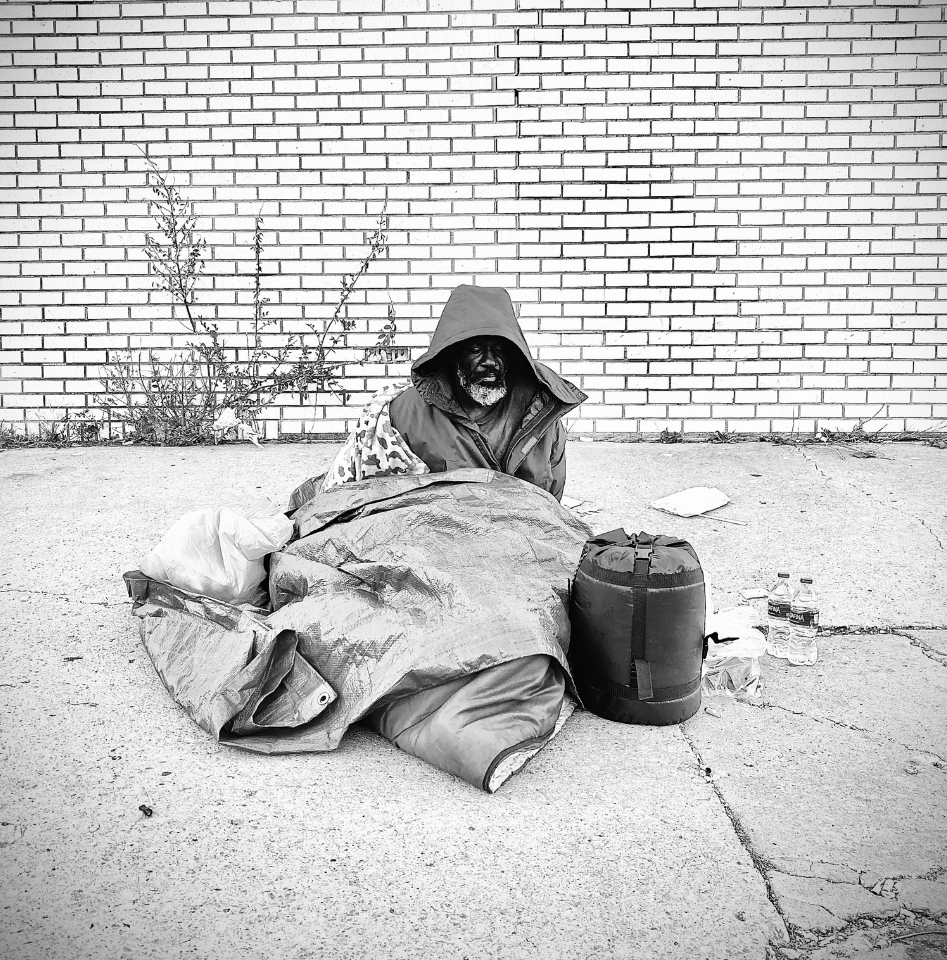 Nice on the 9th with Project Winter Watch