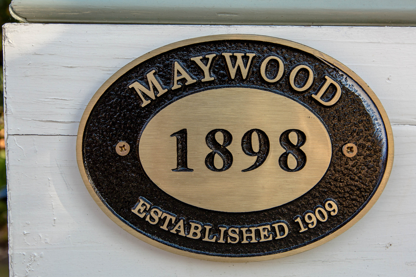 Maywood Arlington Realtor Mary Anthony (84).jpg