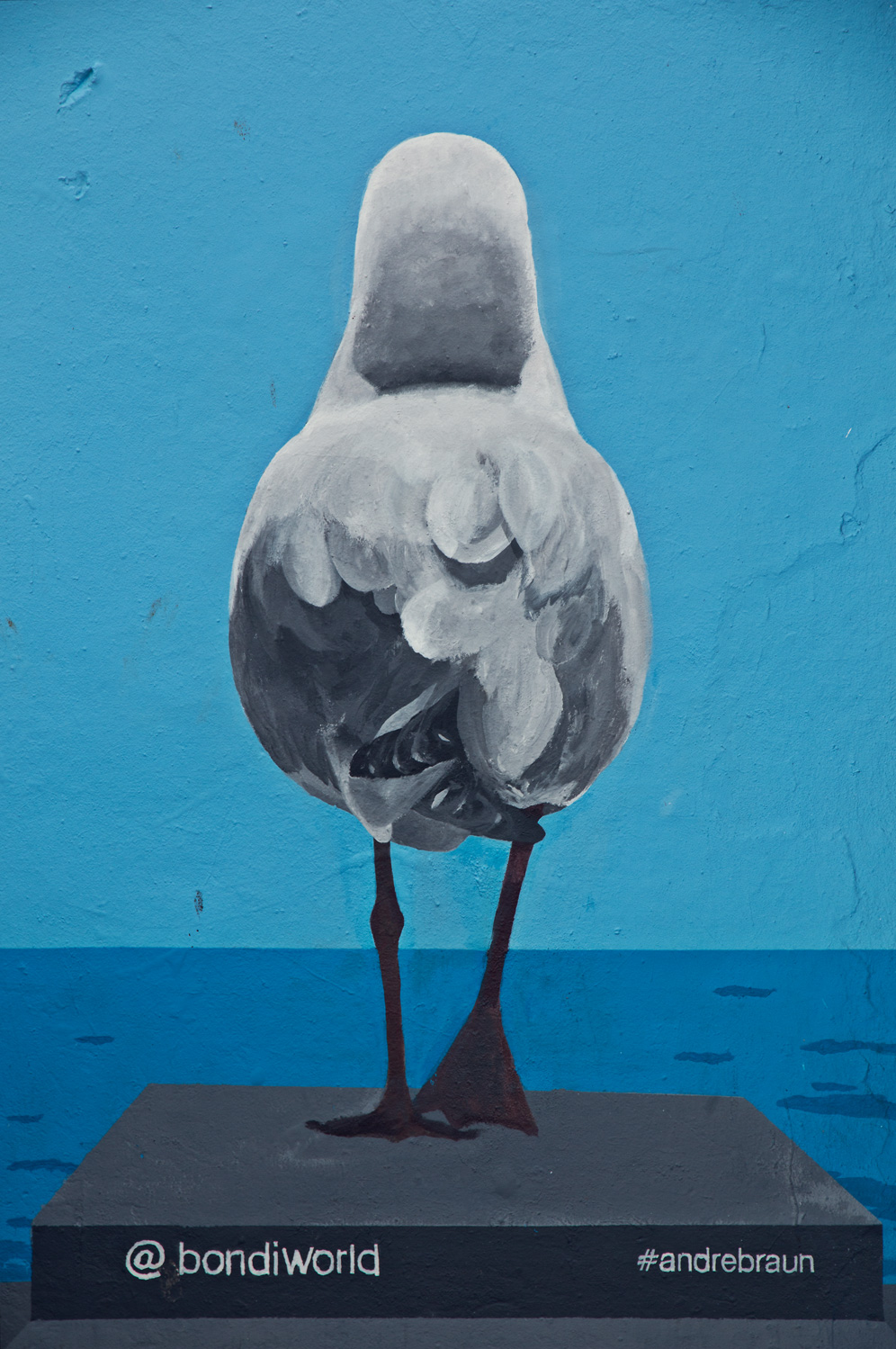 Bondi Beach Street Art
