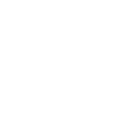 Collective Hair 
