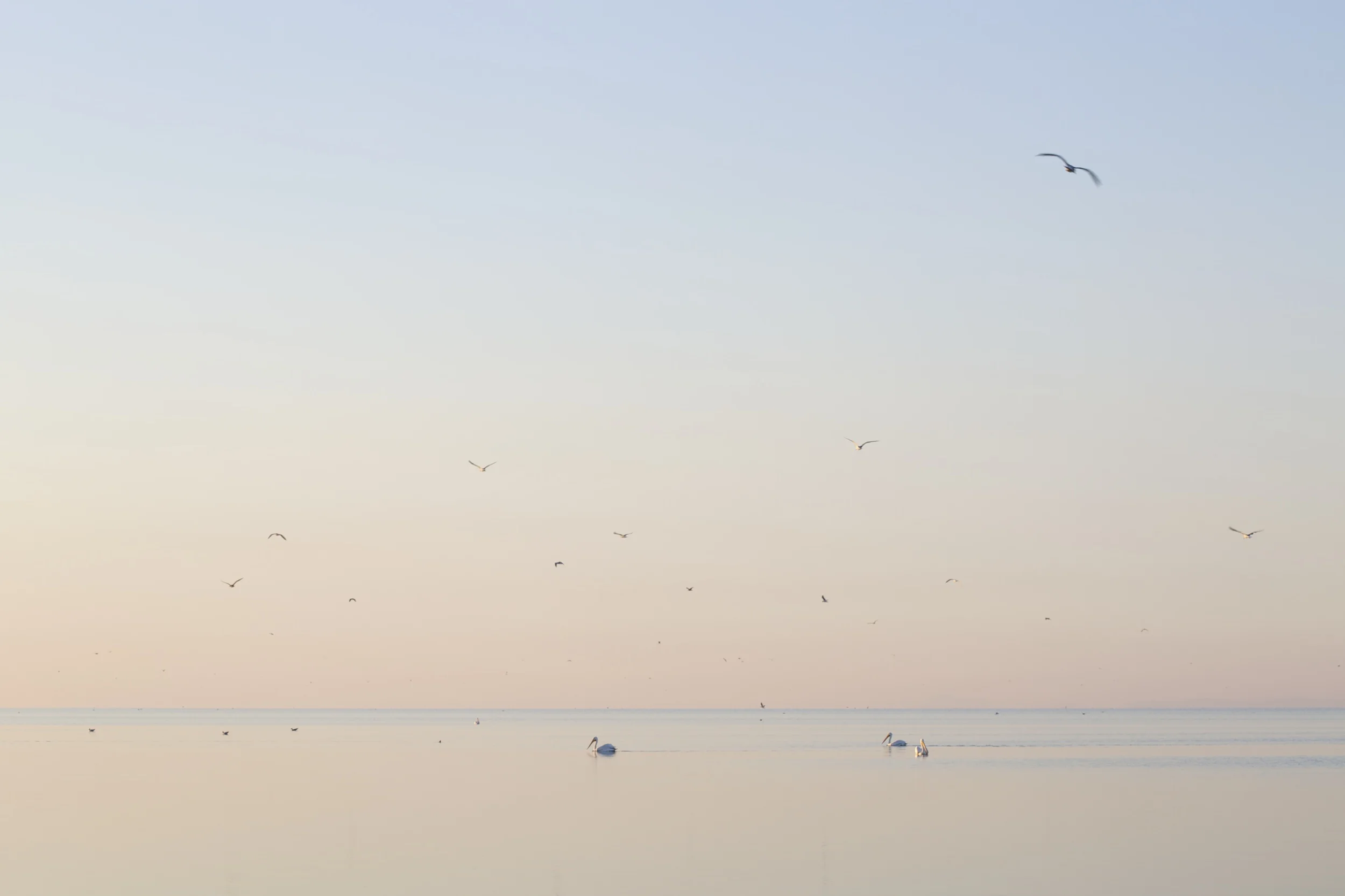 View No. 4, Salton Sea, California, 2015
