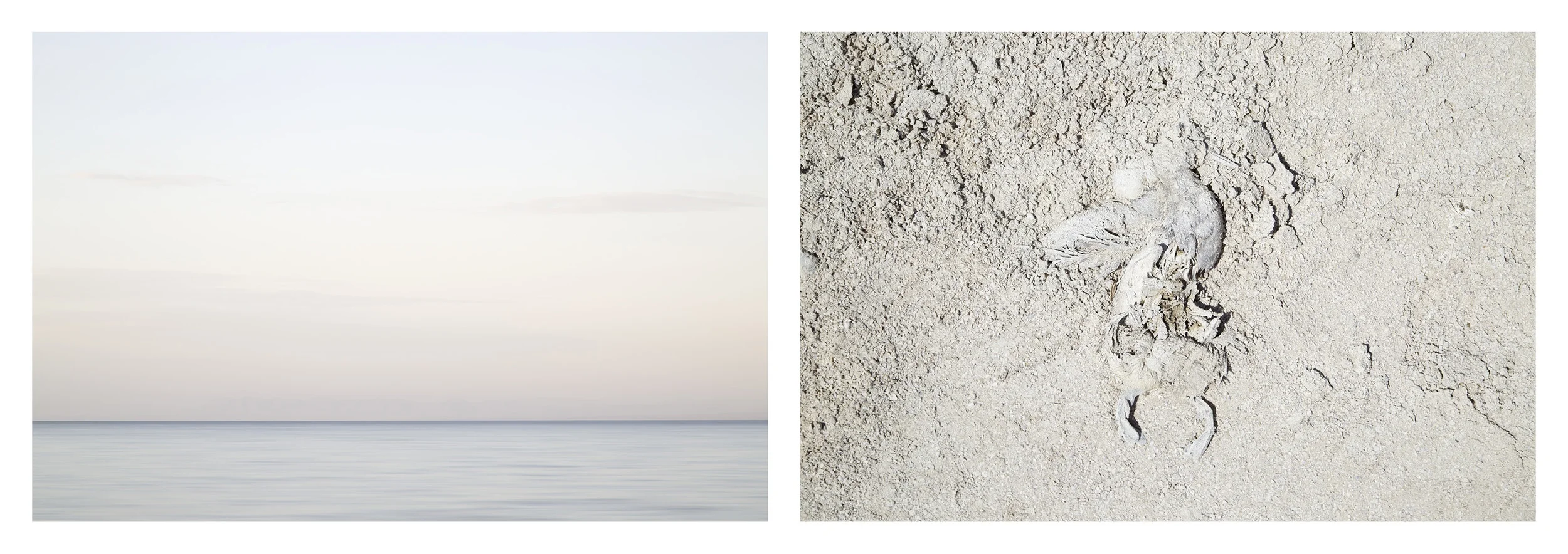 Salton Sea No. 1 , California, 2014