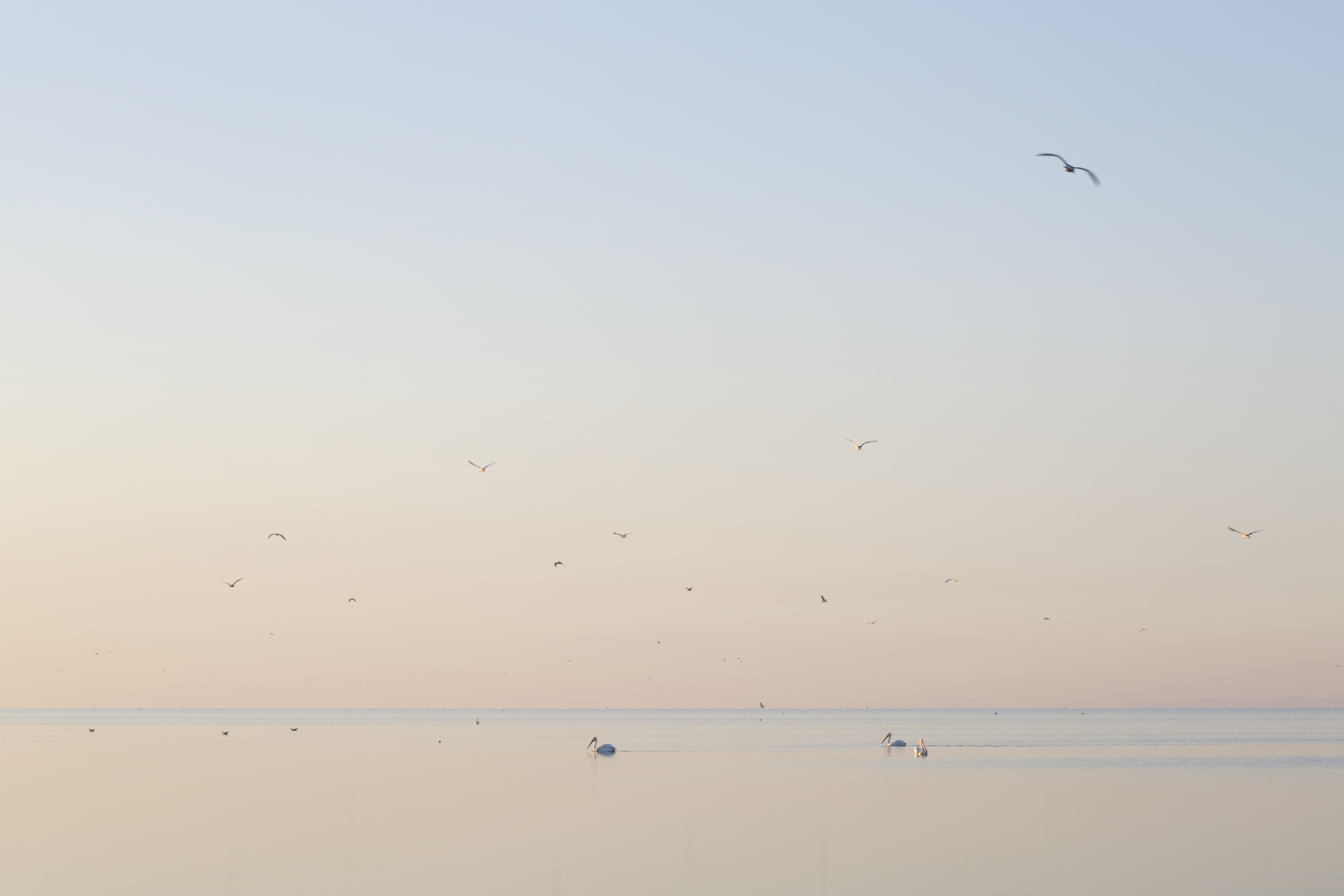 2015-10-13 Salton Sea 065.jpg