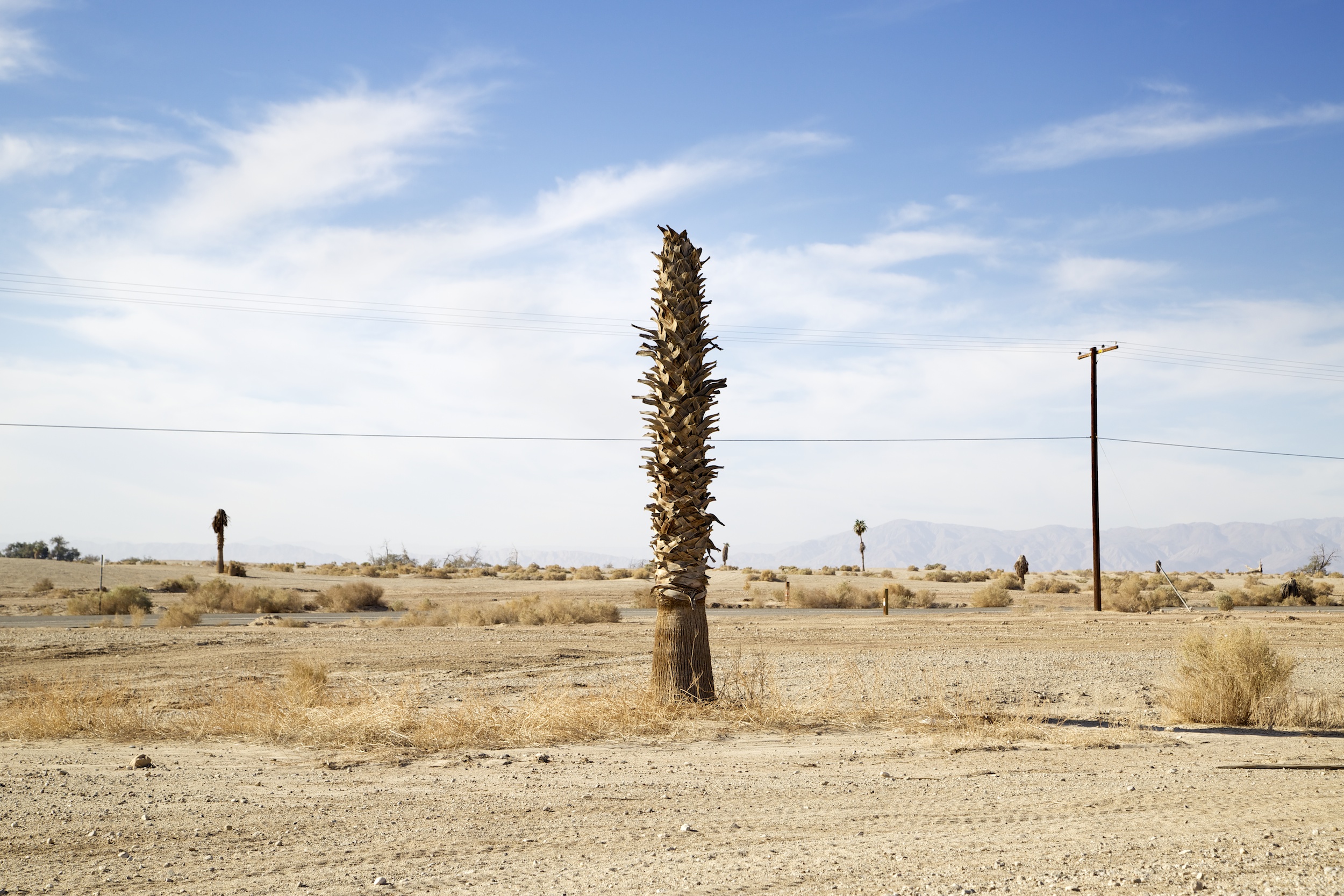 LYON 2014-02-23 149 Anza Borrega Desert.jpg