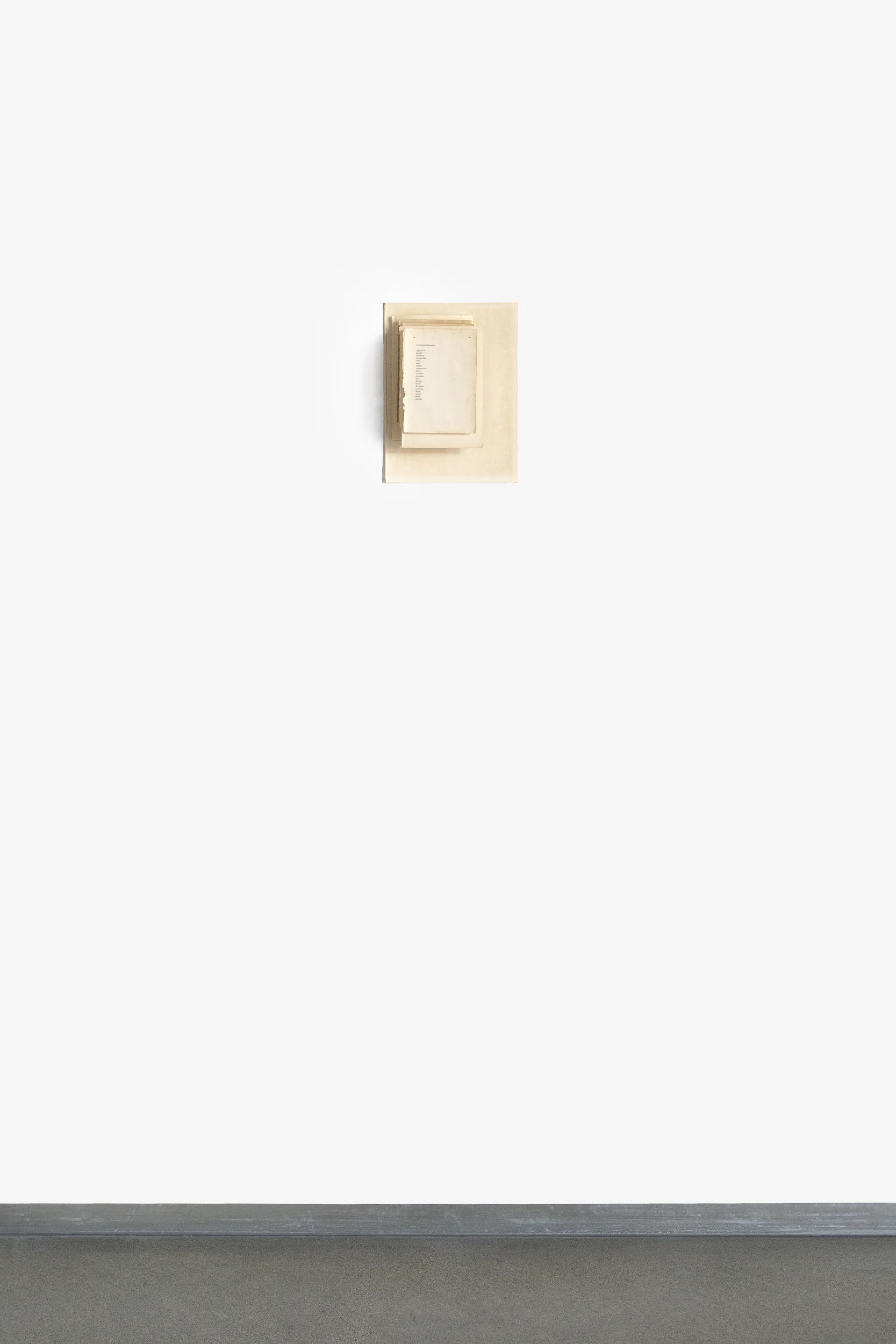 Asymmetrical Encounters (after Carla Hustak and Natasha Myers)