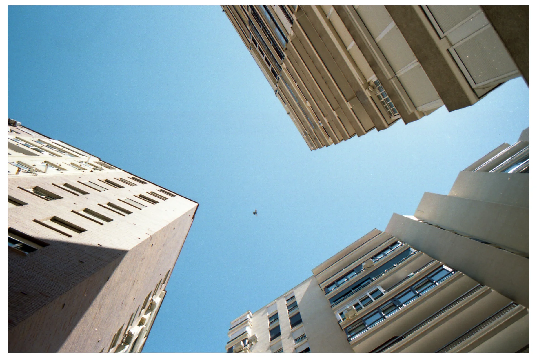 Bird & Buildings.jpg