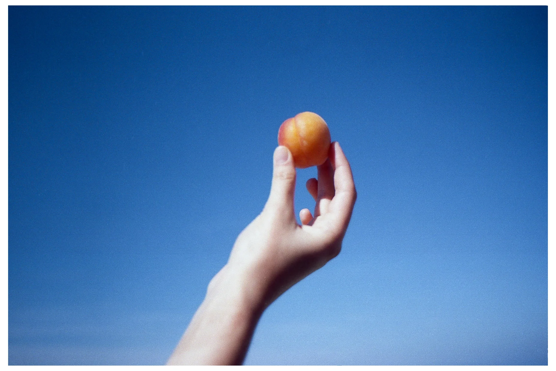 Peach & Water.jpg