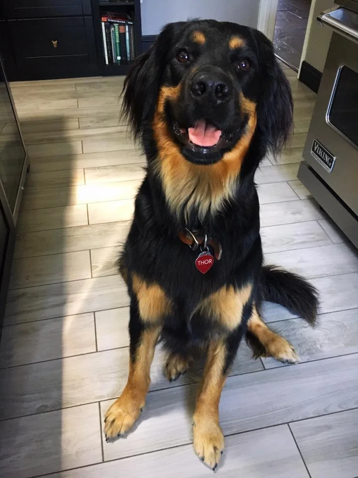 THOR
