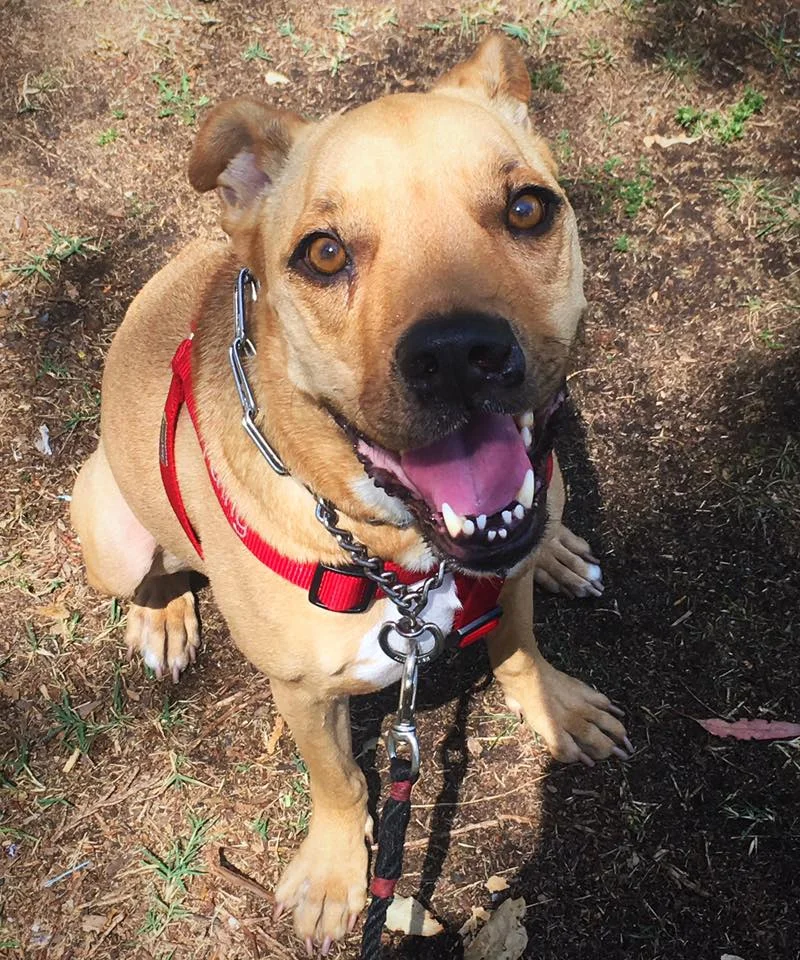 PENNY