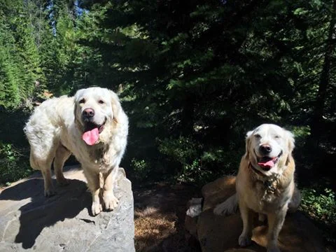 CODY & TETON