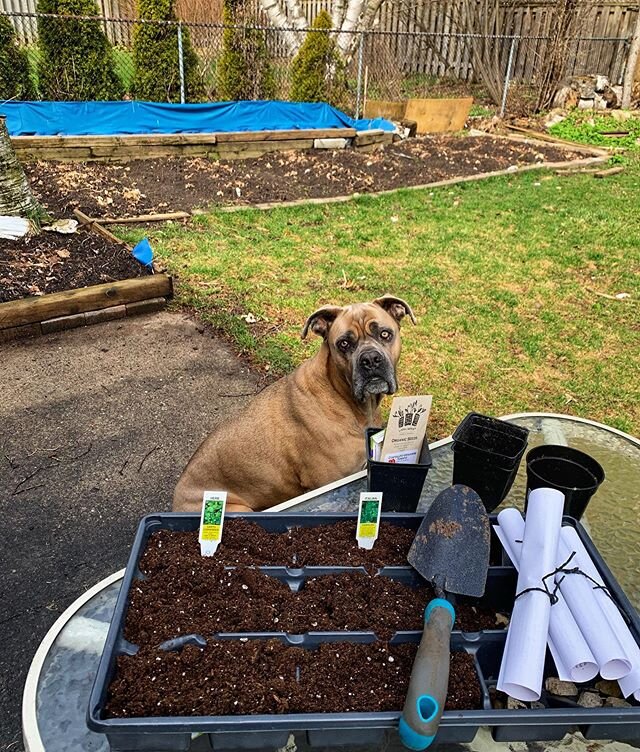 This week’s neighbor note! ❤️❤️❤️🌱🌱🌱 Hello, from your neighbors at 32 Morewood, Lorna and @mjroumanis ! We are wanting to help out and inspire our neighbors to try some new fun, family activities amidst this interesting time, and wanted to o