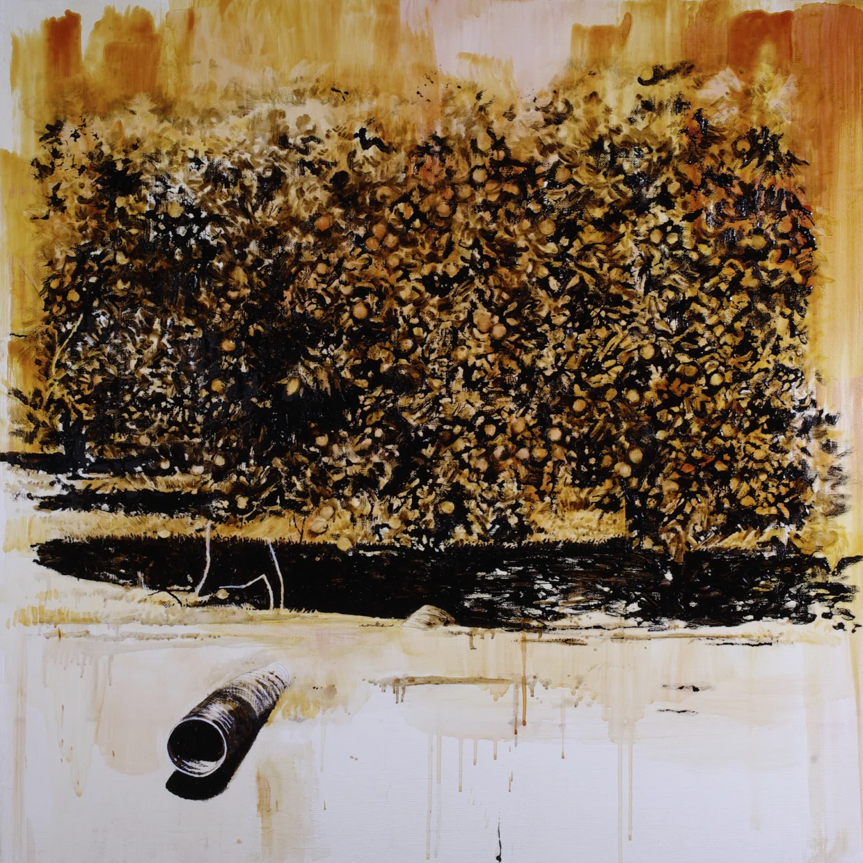 Agriculture Study #2