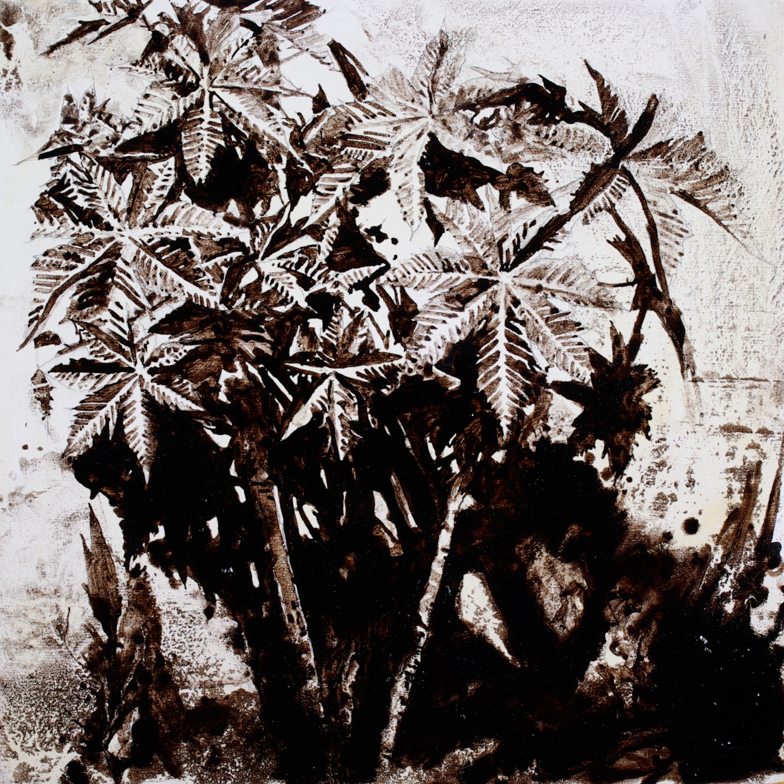 Castor Bean on Bike Path