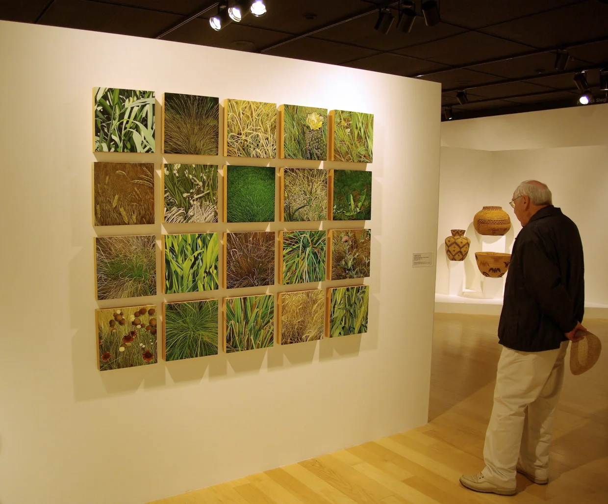 American Grasslands; Prairie, Pasture, Grass and Lawn