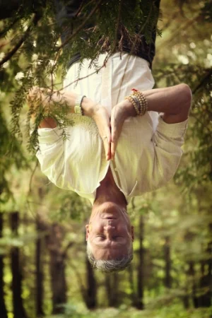  (Yes, I'm hanging from a tree!)