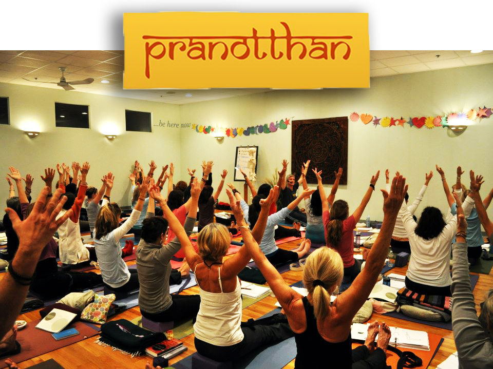 Pranotthan-Yoga-Teacher-Training-1-Steven-Hartman.jpg