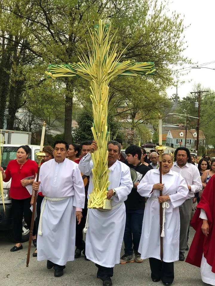Domingo de Ramos, 14 de abril, 2019