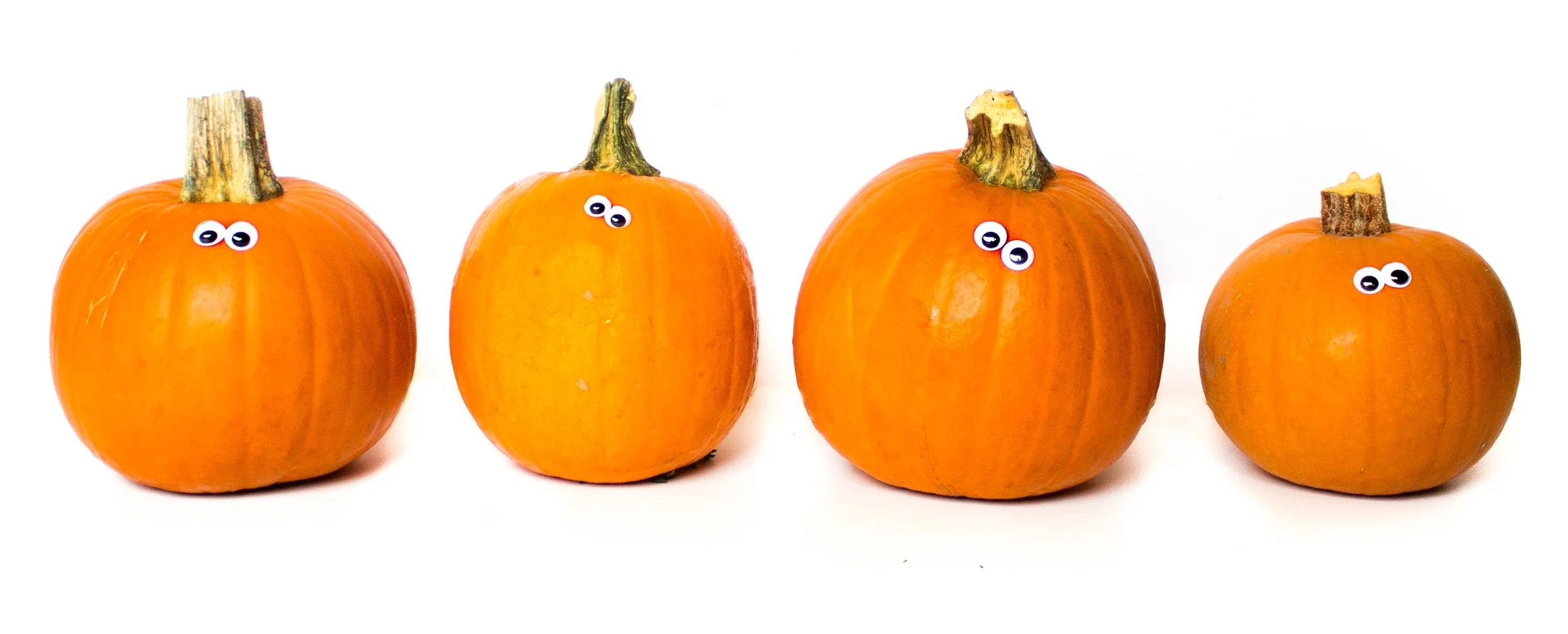 T-guide Intro Page Pumpkin Googly.jpg