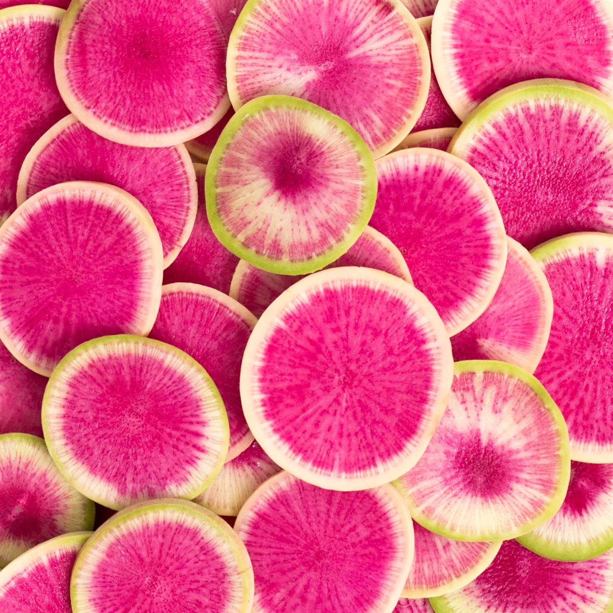 Watermelon Radish close up.jpg
