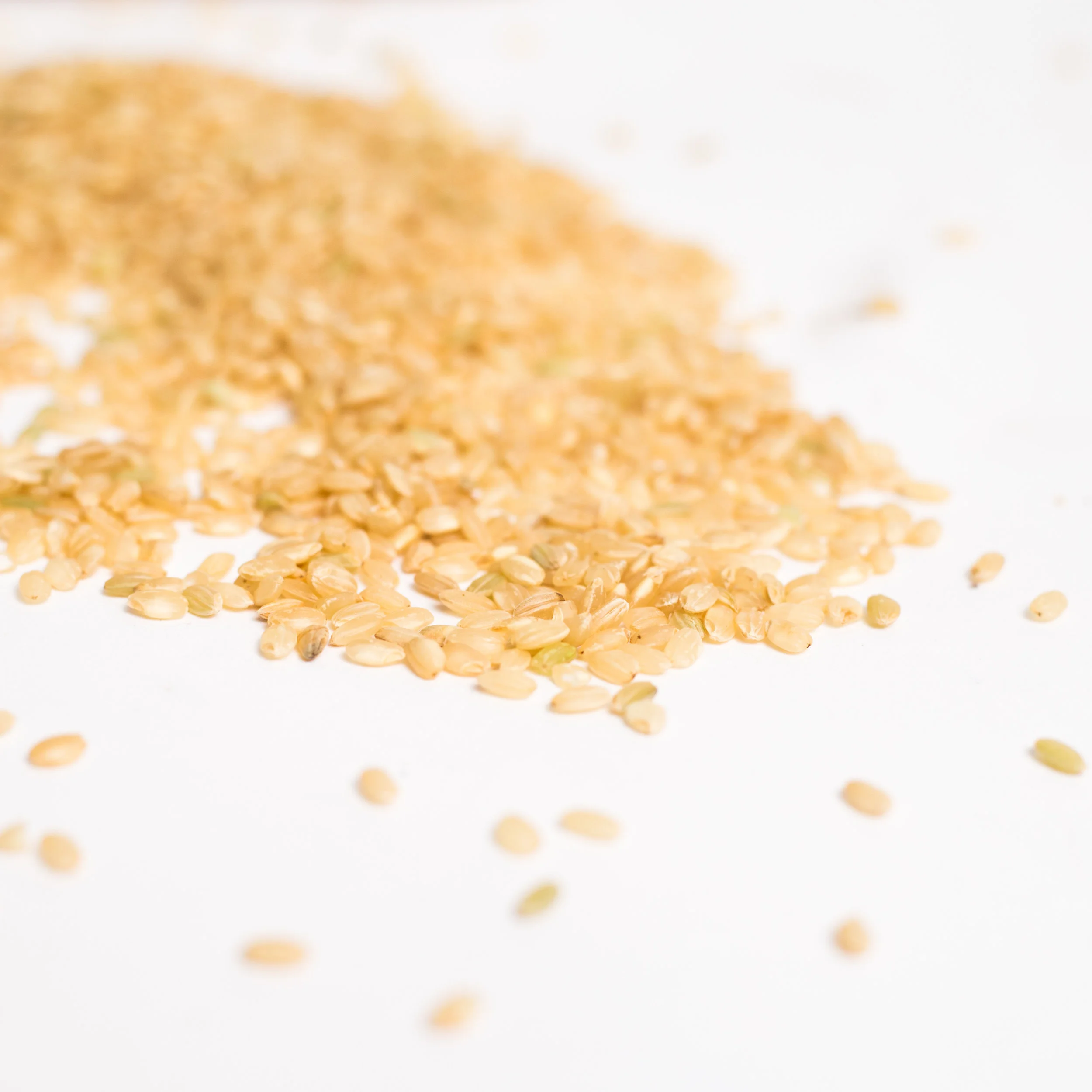 Imperfect Rice!.jpg