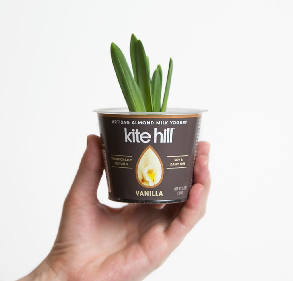 KITE HILL.png