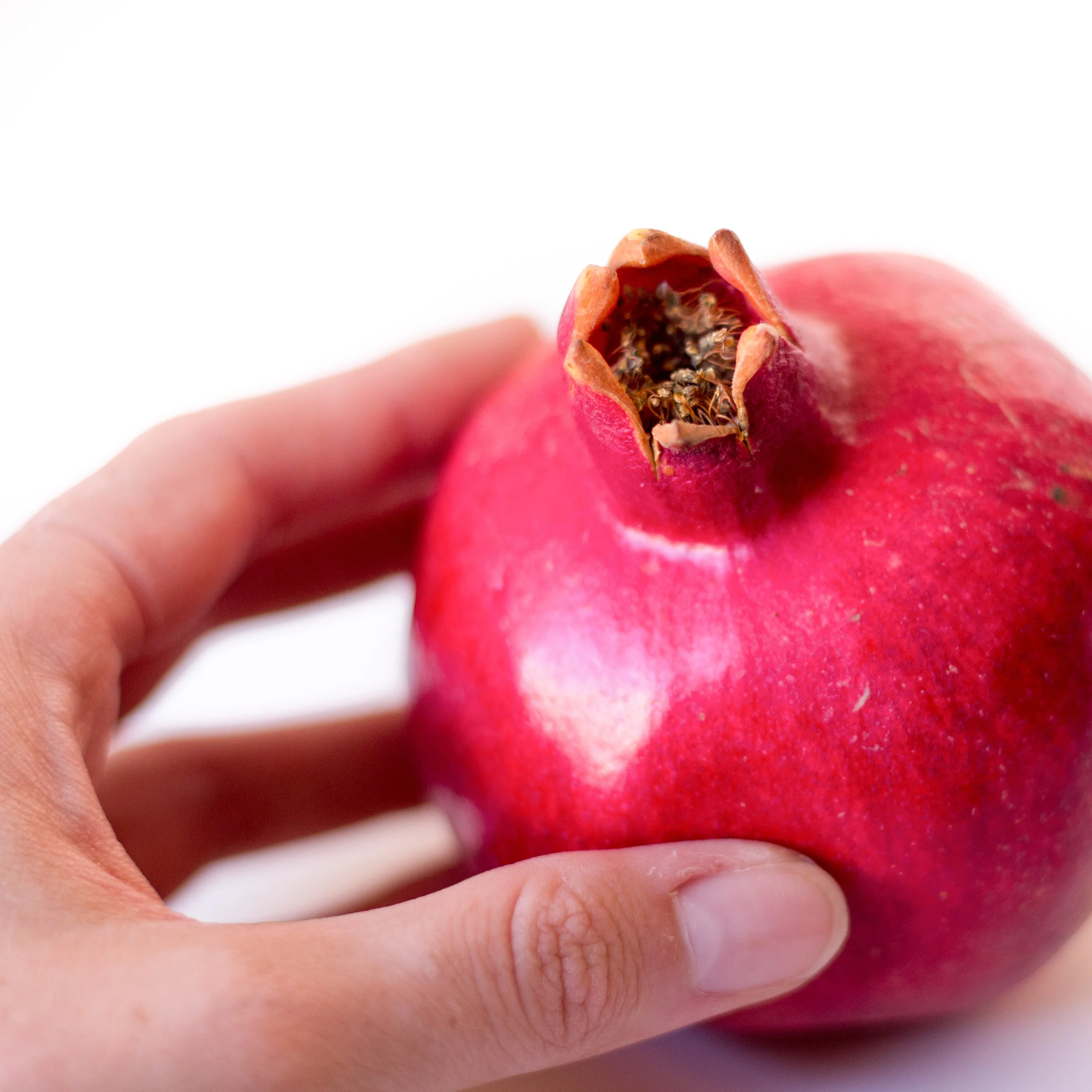 Hand and Pomegranate.jpg