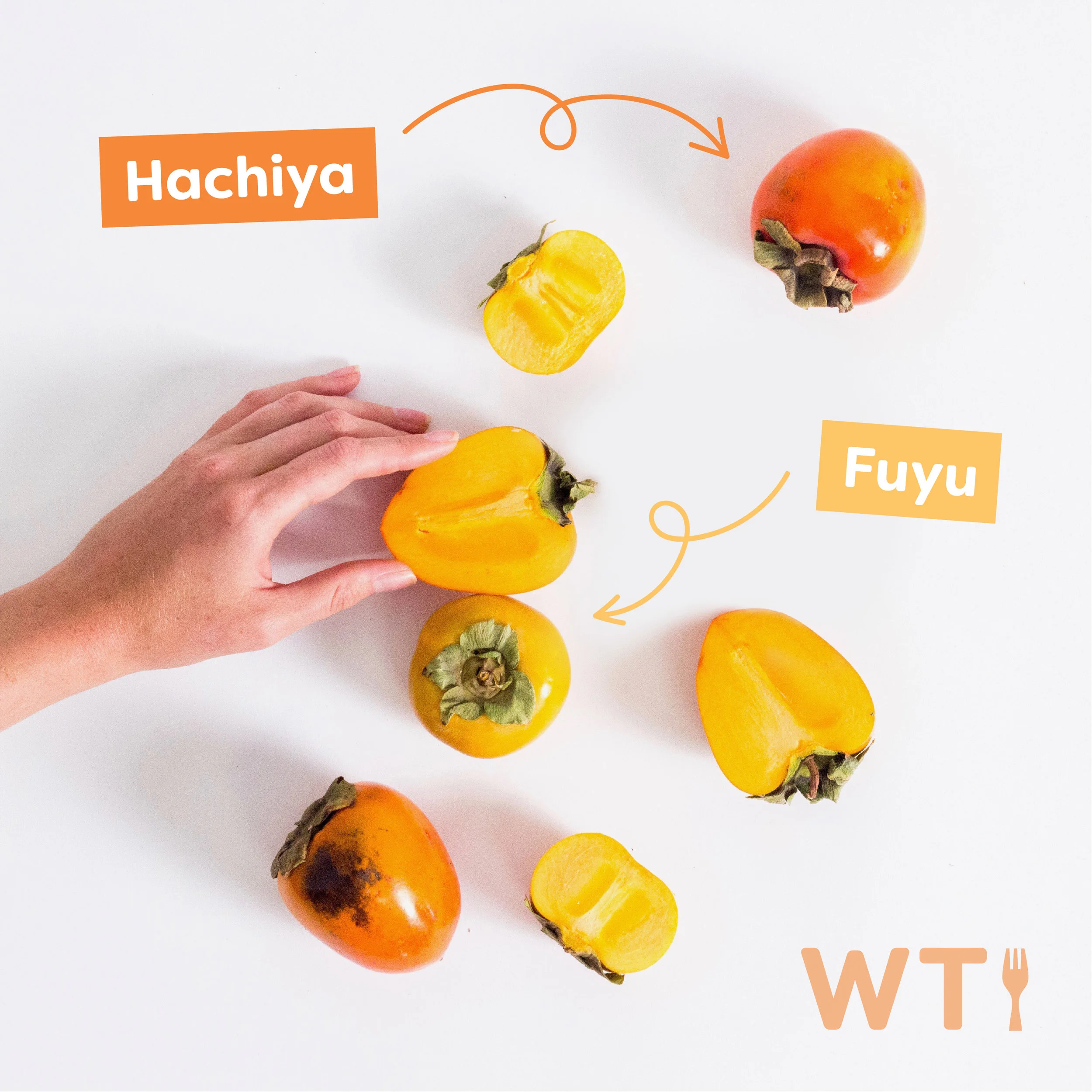 Persimmon.jpg
