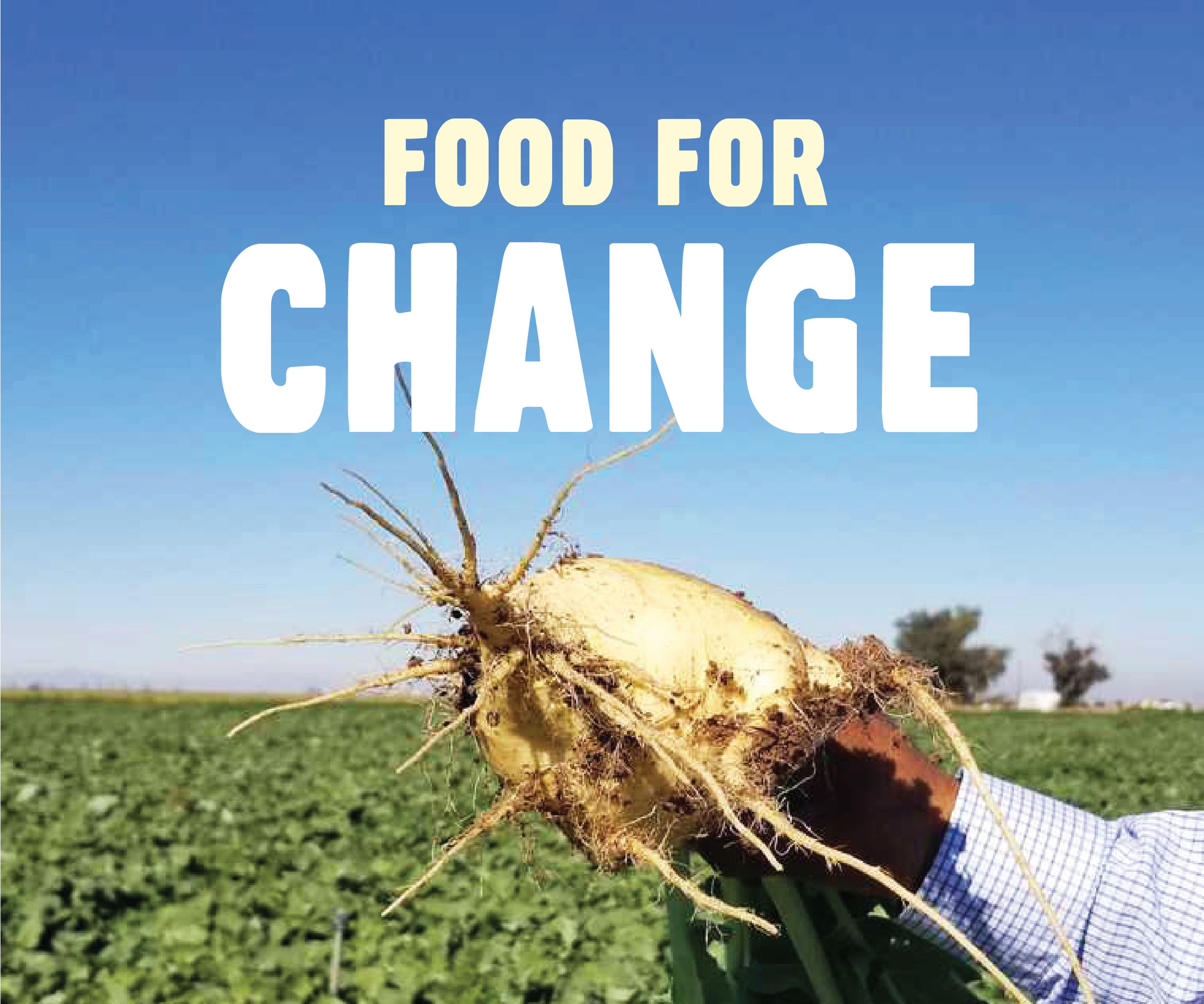 Food_for_Change_Blog.jpg