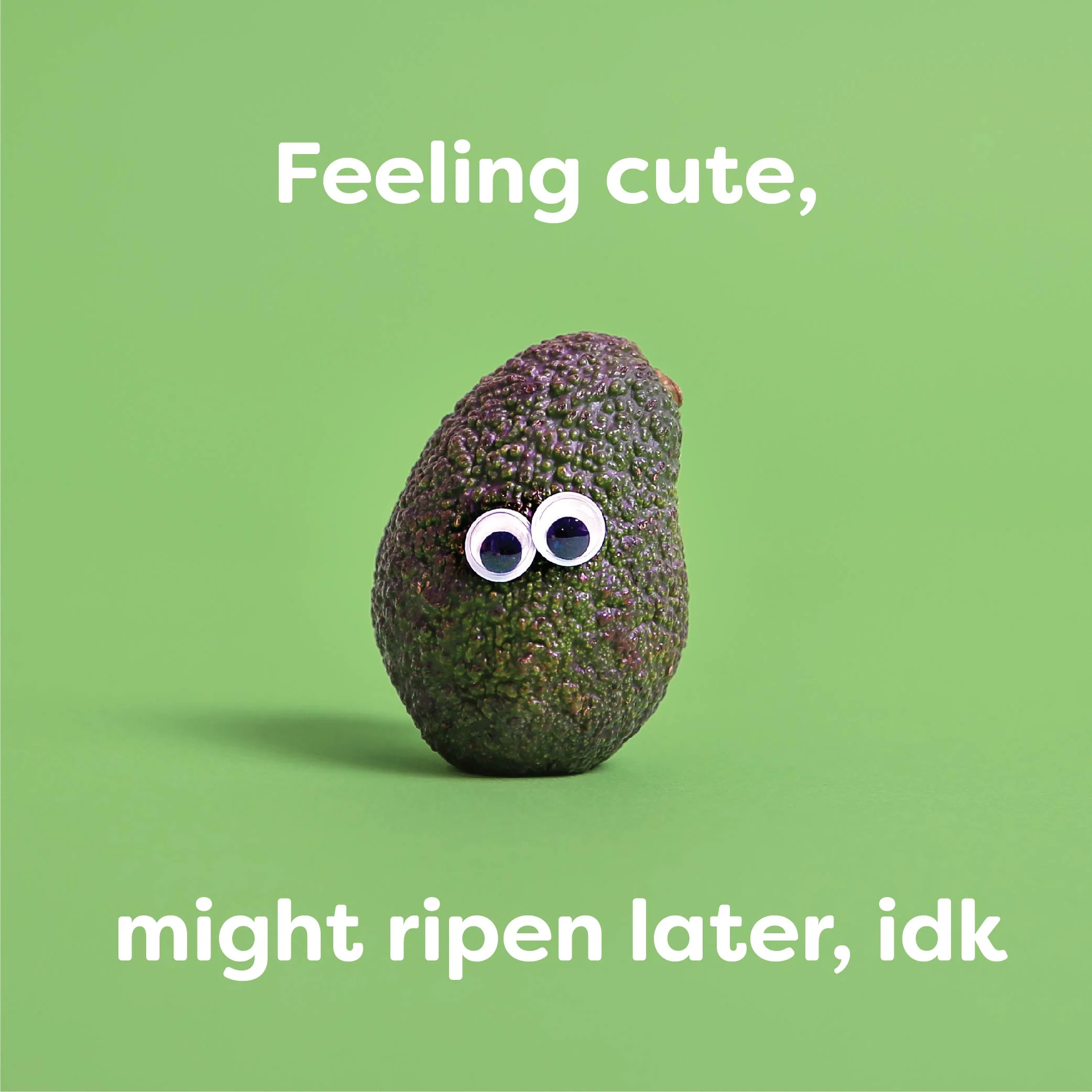 Feeling Cute-08.jpg