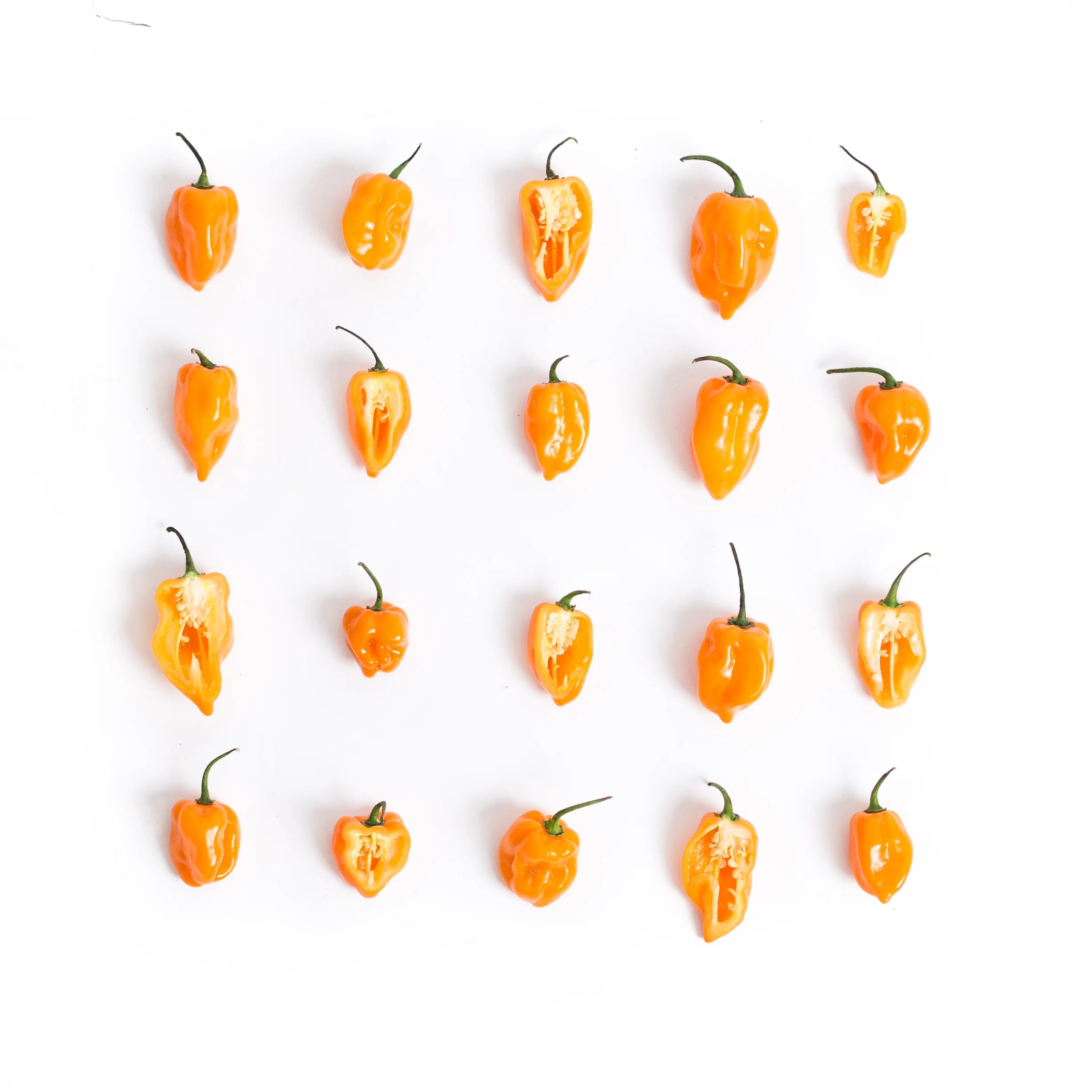 HabaneroPeppers_Lineup.jpg