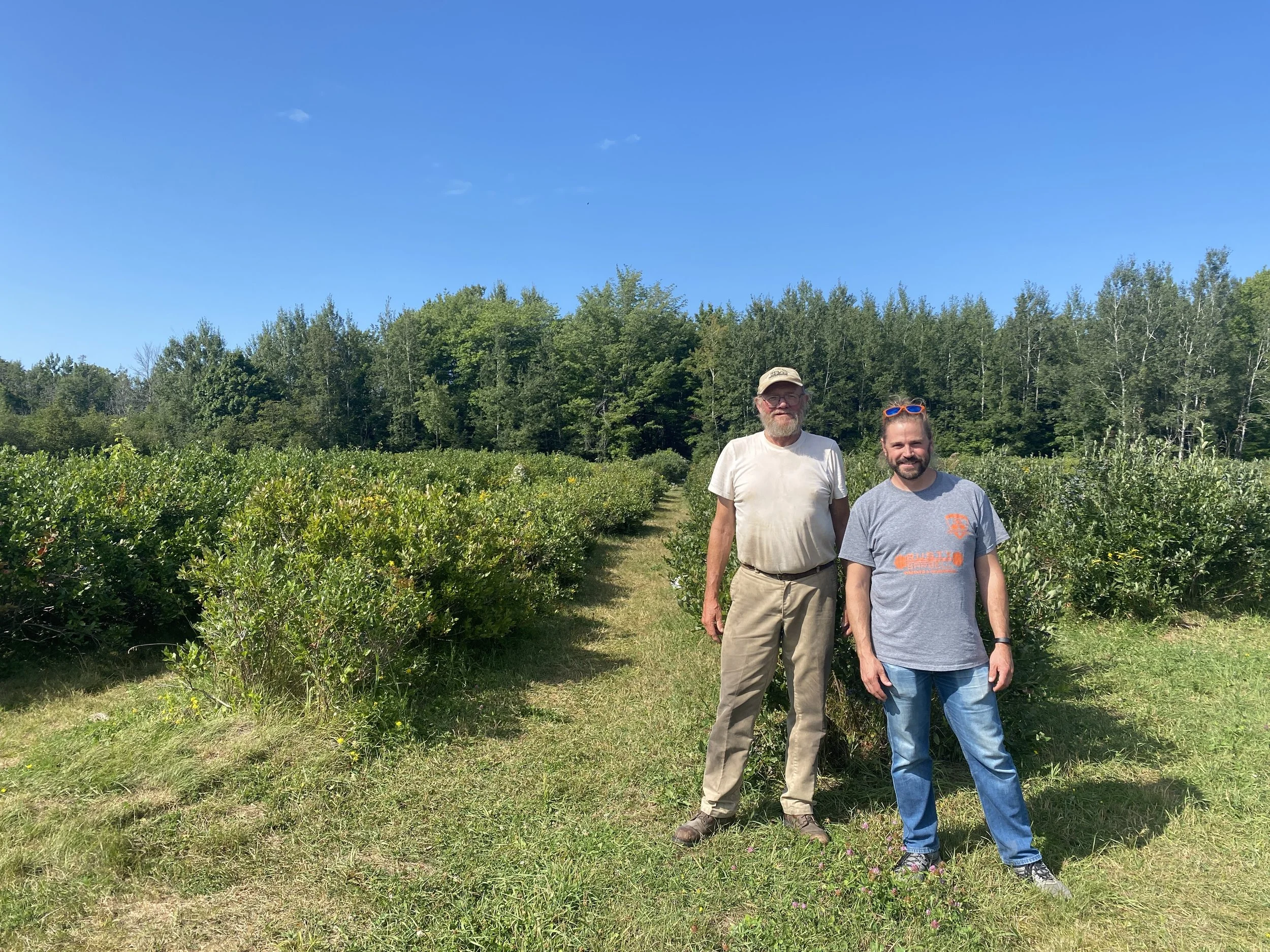 The Dutchers and their Blueberries