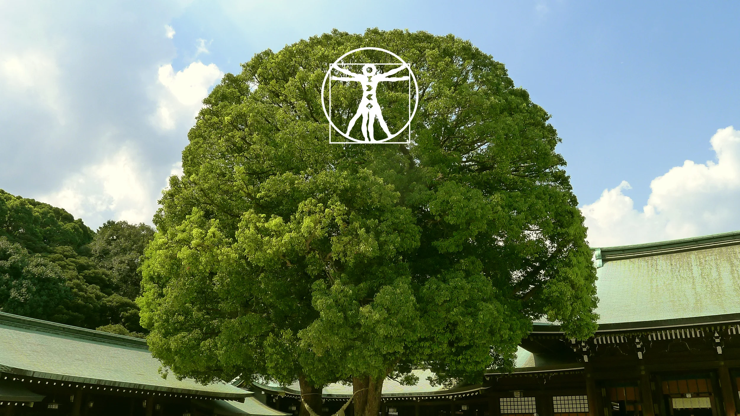 contact_img13_tree.jpg