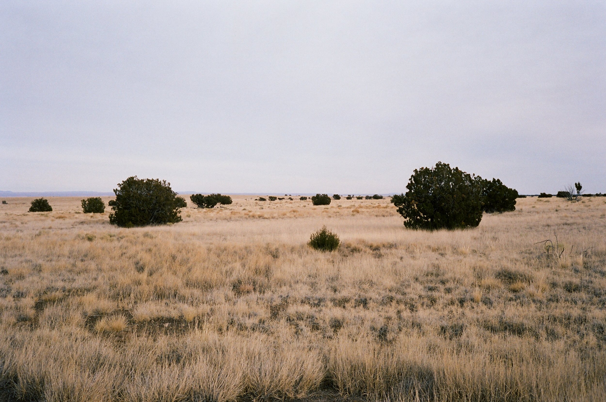 07420031.JPG